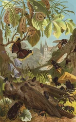 Efectos de fuerzas unidas